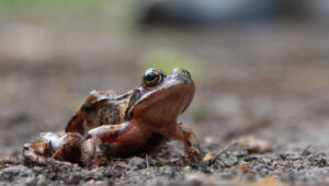 2025_I_Z_Z_ (1 van 8)