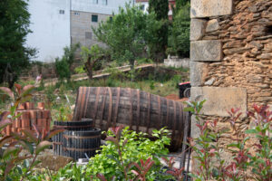 2025_I_Z_Z_ (5 van 8)