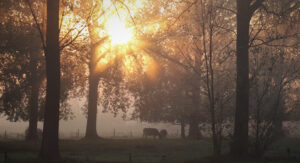 Weet nog dat hij mij proficiat wenste met deze mist reeks